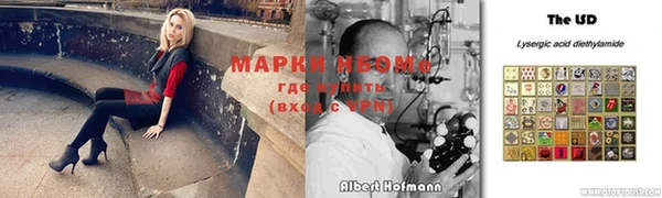 прущие грибы Армянск