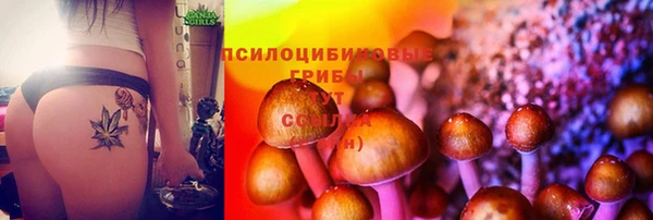 каннабис Аркадак