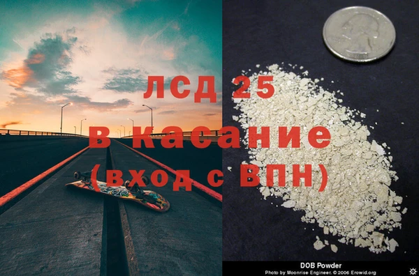 прущие грибы Армянск