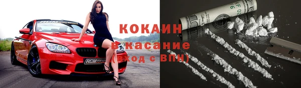 прущие грибы Армянск