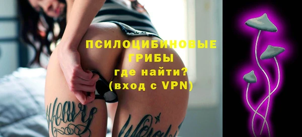 прущие грибы Армянск
